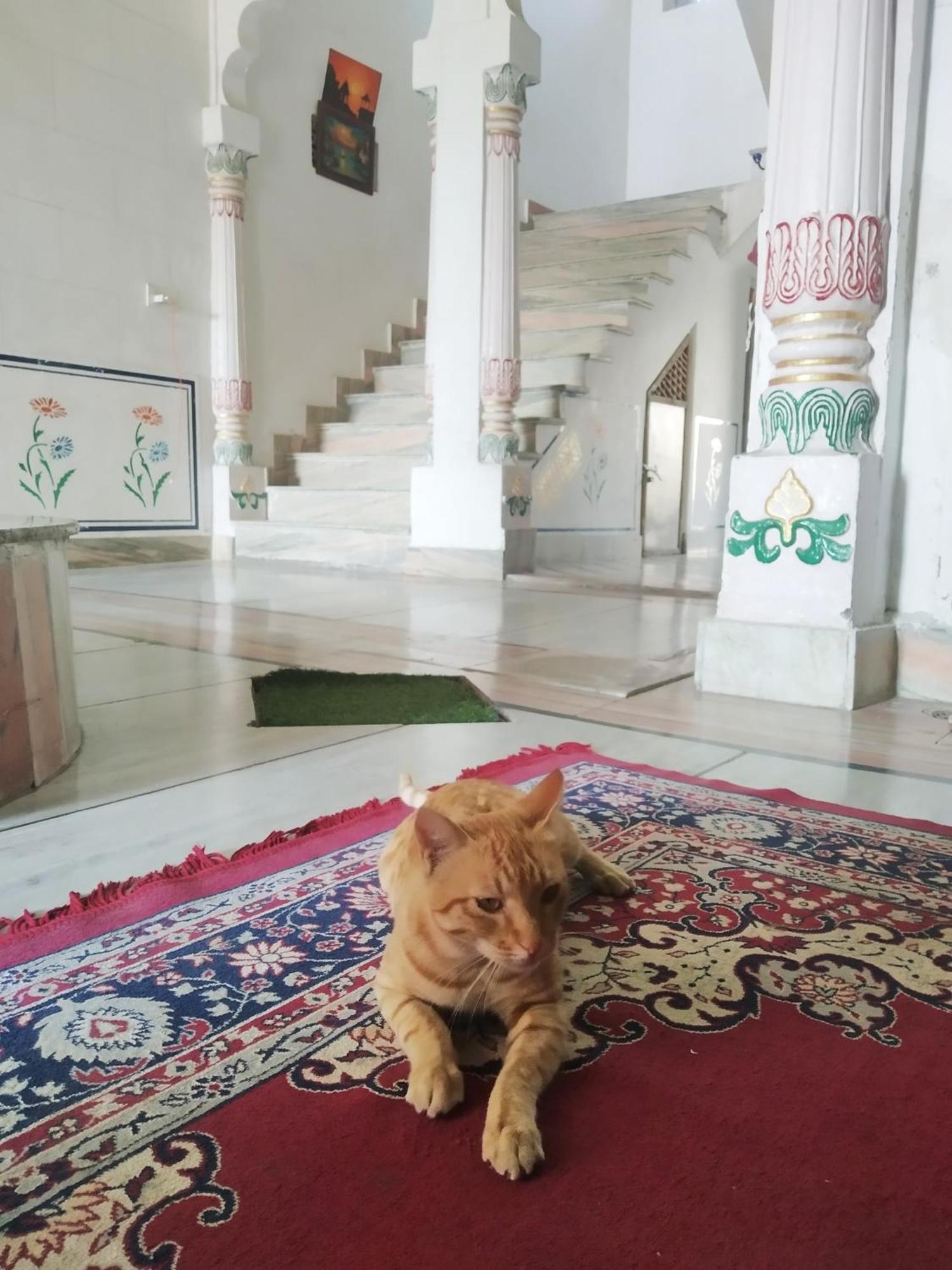 Pahasu House Apartment Jaipur Luaran gambar